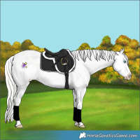 Horse Color:Cremello Roan Dun Varnish