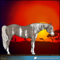 Horse Color:Silver Black Sabino