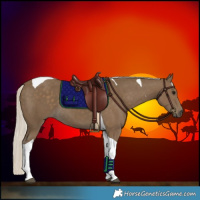 Horse Color:Silver Smoky Black Tobiano 