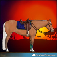 Horse Color:Silver Bay 