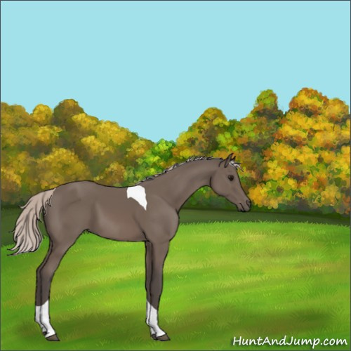 Horse Color:Silver Black Tobiano 