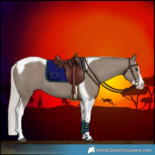 Horse Color:Silver Grullo Splash Tobiano 