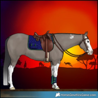 Horse Color:Grullo Sabino Splash 