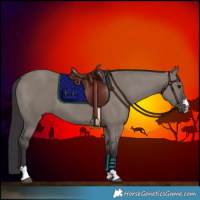 Horse Color:Smoky Grullo 