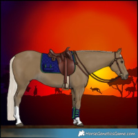 Horse Color:Silver Smoky Black Tobiano 