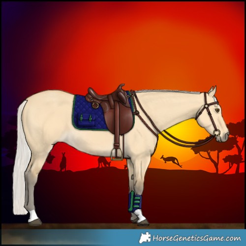 Horse Color:Silver Buckskin Dun 