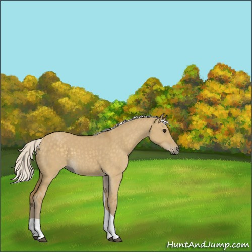 Horse Color:Silver Smoky Grullo Tobiano 