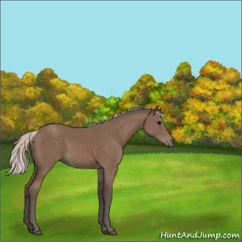 Horse Color:Silver Black 