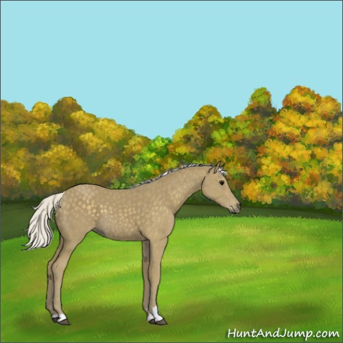Horse Color:Silver Smoky Black Sabino 