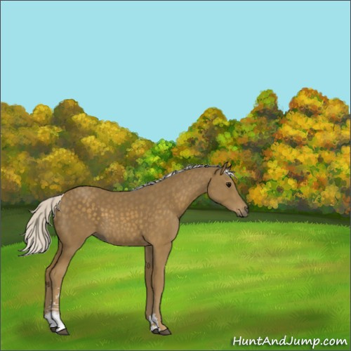 Horse Color:Silver Smoky Black Sabino 