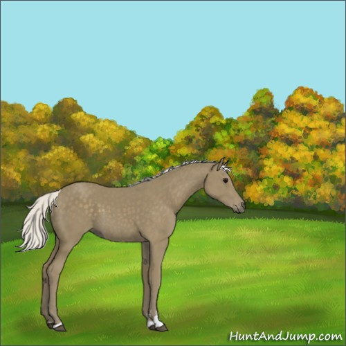 Horse Color:Silver Smoky Black Sabino 