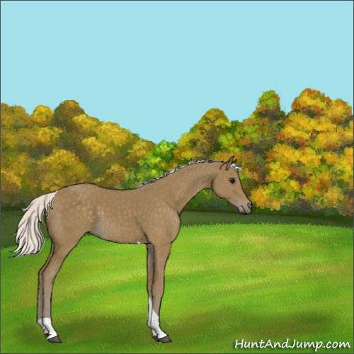 Horse Color:Silver Smoky Black Tobiano 