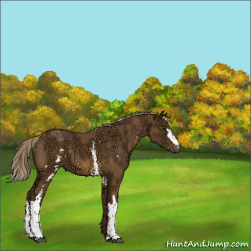 Horse Color:White Spotted Chocolate Palomino Ice 