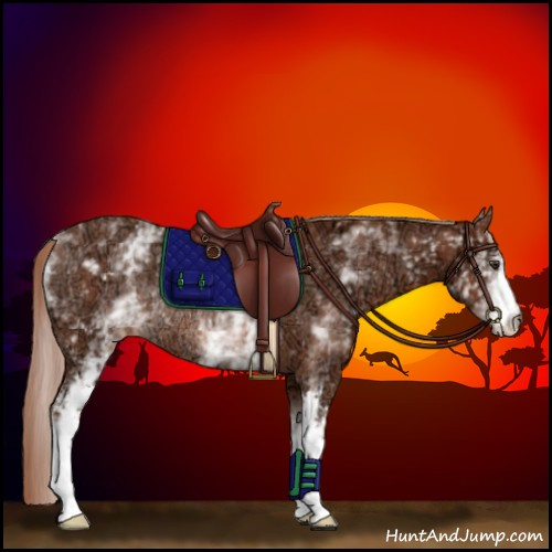 Horse Color:White Spotted Chestnut Ice Rabicano 