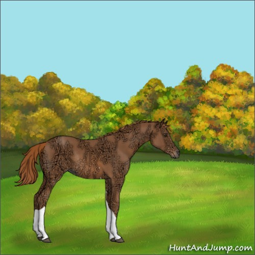 Horse Color:Chestnut Ice Tobiano Rabicano 