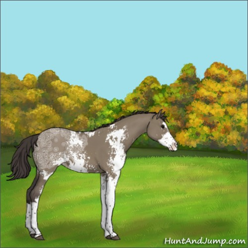 Horse Color:Smoky Grullo Ice Sabino 