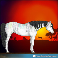 Horse Color:White Spotted Grullo Ice Sabino Rabicano 