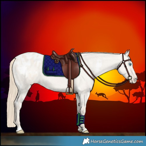 Horse Color:White Spotted Smoky Creme Dun Appaloosa 