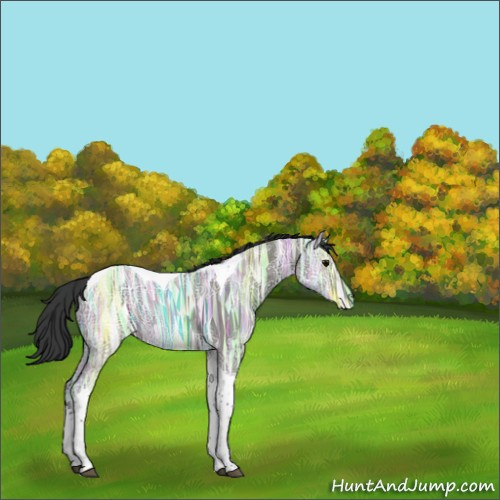 Horse Color:Grullo Ice Tobiano Rabicano 