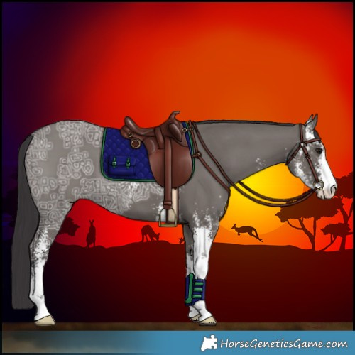 Horse Color:Smoky Grullo Ice Sabino 