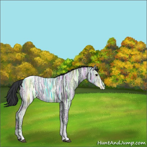 Horse Color:Black Ice Tobiano Rabicano 