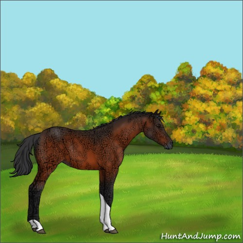 Horse Color:Bay Ice Tobiano Rabicano 