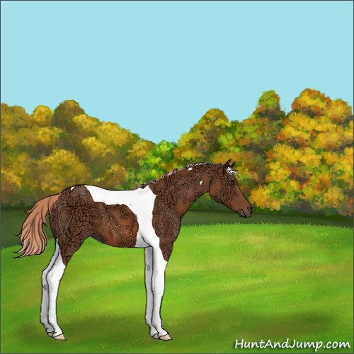 Horse Color:Chestnut Ice Tobiano 