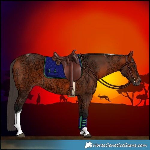 Horse Color:Bay Ice Tobiano 