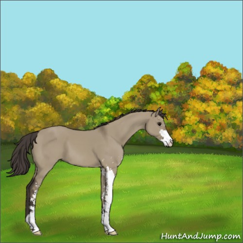 Horse Color:Smoky Grullo Sabino 