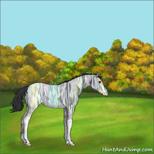 Horse Color:White Spotted Black Ice 