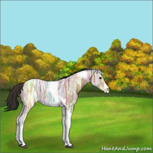 Horse Color:Bay Ice Tobiano Frame 