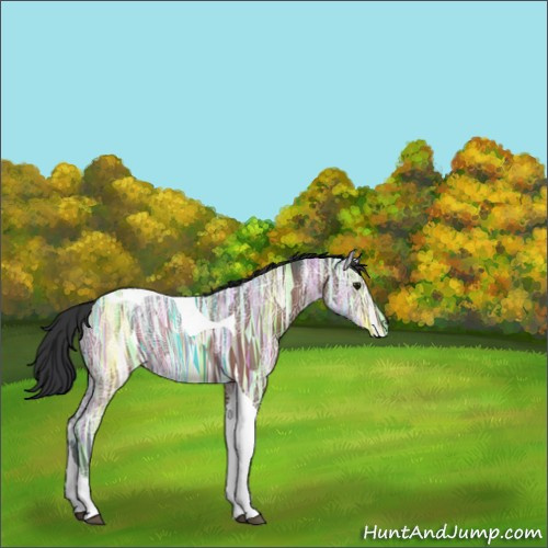 Horse Color:Brown Ice Tobiano 
