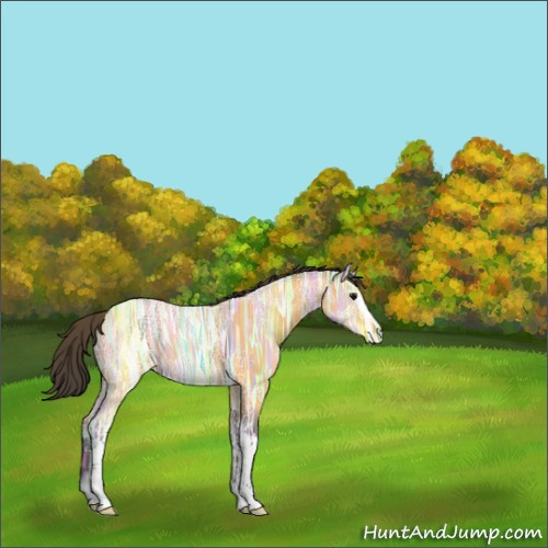Horse Color:White Spotted Buckskin Ice Rabicano 