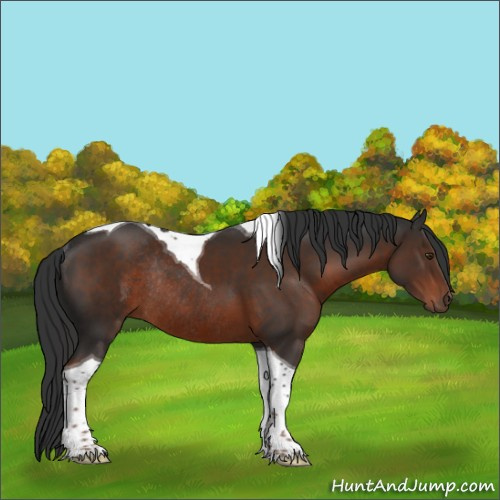 Horse Color:Liver Chestnut Tobiano Rabicano 