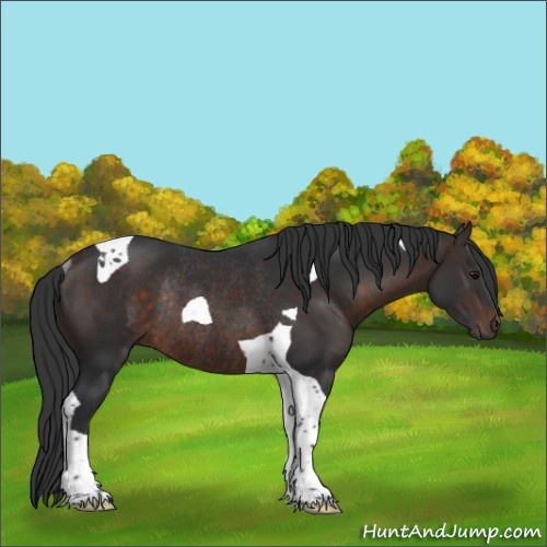 Horse Color:Brown Tobiano Rabicano 