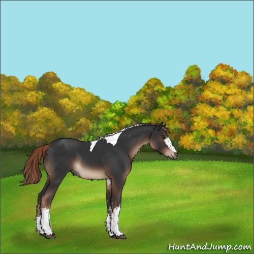 Horse Color:White Spotted Liver Chestnut Tobiano Rabicano 