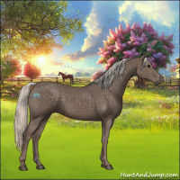 Horse Color:Silver Black 