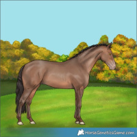 Horse Color:Sable Champagne 
