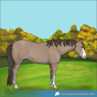 Horse Color:Classic Champagne 