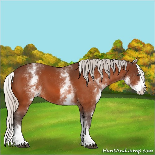 Horse Color:White Spotted Silver Bay Splash
