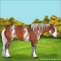 Horse Color:White Spotted Silver Bay Splash 