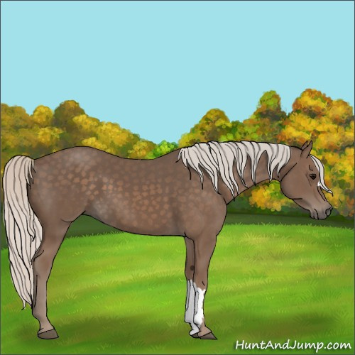 Horse Color:Silver Black