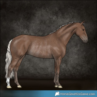 Horse Color:Silver Black Rabicano 