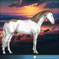 Horse Color:Silver Smoky Black Splash Frame Rabicano