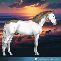 Horse Color:Silver Smoky Black Splash Frame Rabicano 