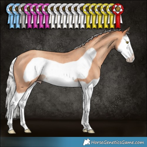 Horse Color:Silver Sable Champagne Splash Frame Rabicano 