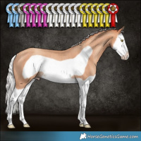 Horse Color:Silver Sable Champagne Splash Frame Rabicano 