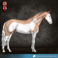 Horse Color:Silver Sable Champagne Splash Frame Rabicano 