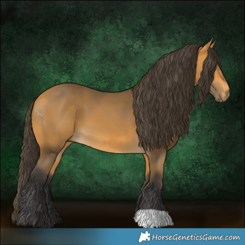 Horse Color:Buckskin 