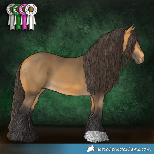 Horse Color:Buckskin 